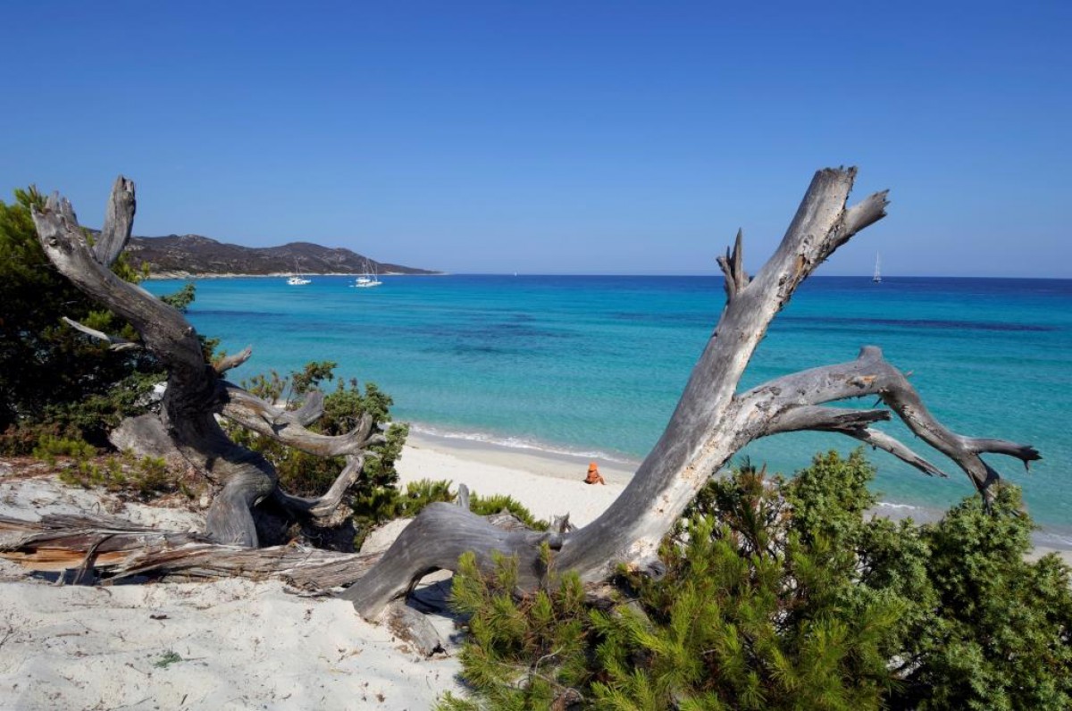 Randonnée De La Plage Du Lotu à Saint Florent Randos Corse