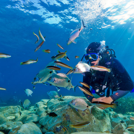 La plongée sous-marine en Corse selon vos envies avec Propriano